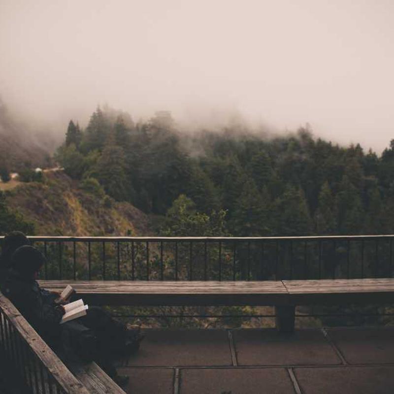 Complete Guide to Vedic Astrology