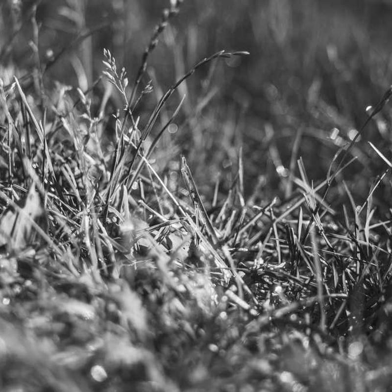 Seven Chakra Bracelet