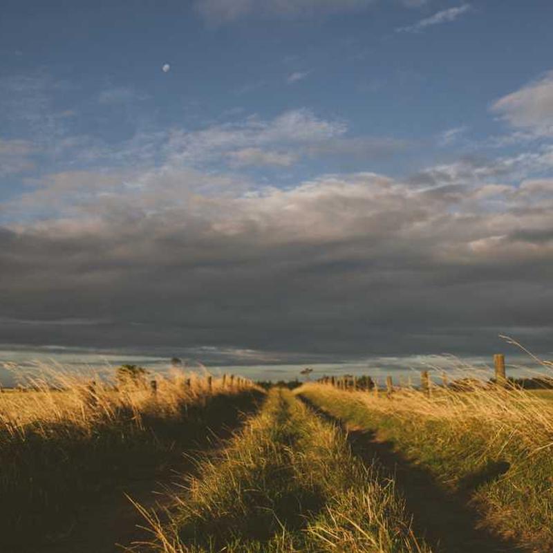 Goddess Lakshmi Idol