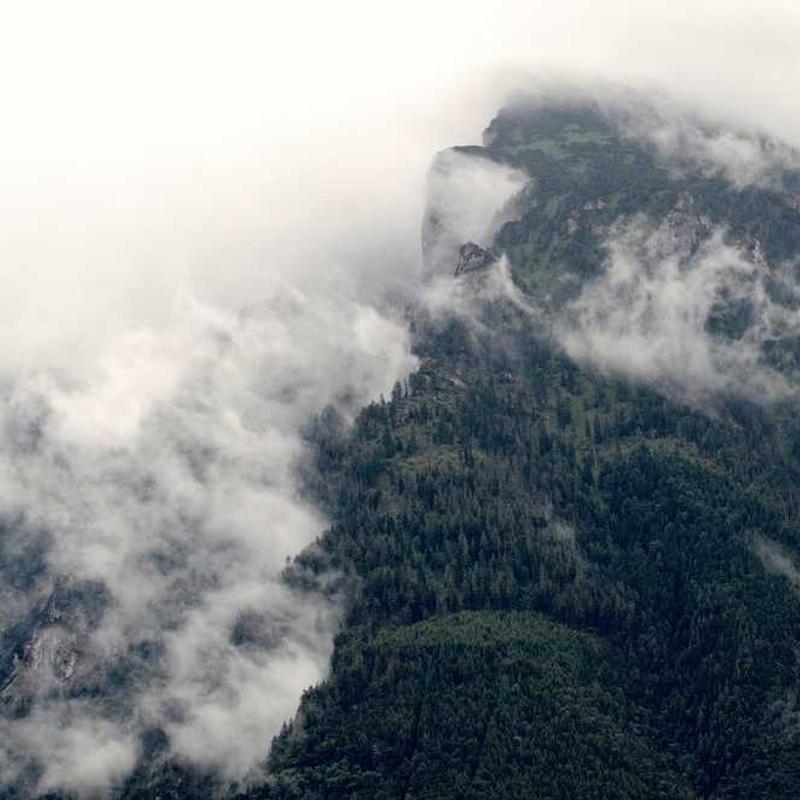 Goddess Lakshmi Idol
