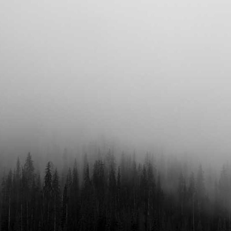 Nag Champa Incense Sticks