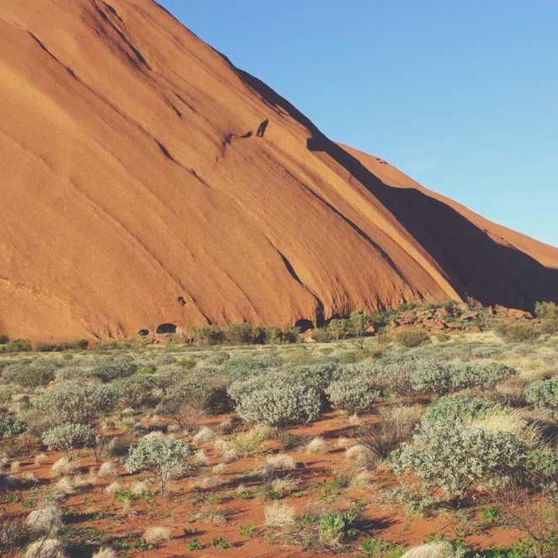 Frankincense & Myrrh Resin