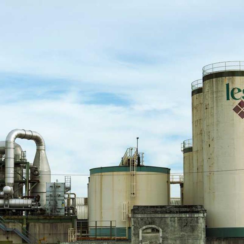 Rudraksha Mala - 108 Beads