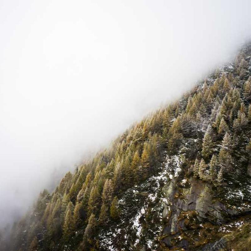 Rudraksha Mala - 108 Beads