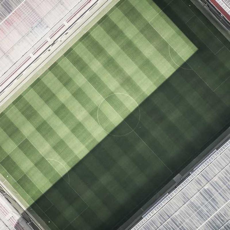 Sandalwood Essential Oil