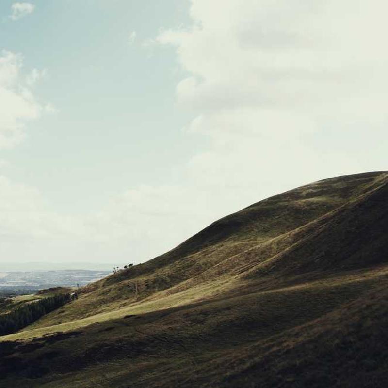 Sandalwood Essential Oil